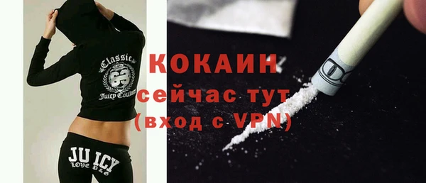 твердый Няндома