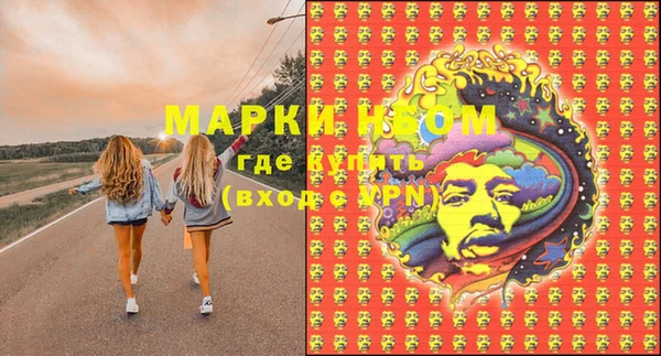 скорость Новозыбков