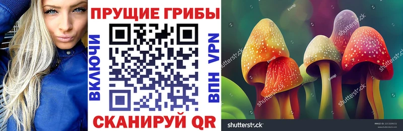 наркотики  Красавино  Галлюциногенные грибы ЛСД 